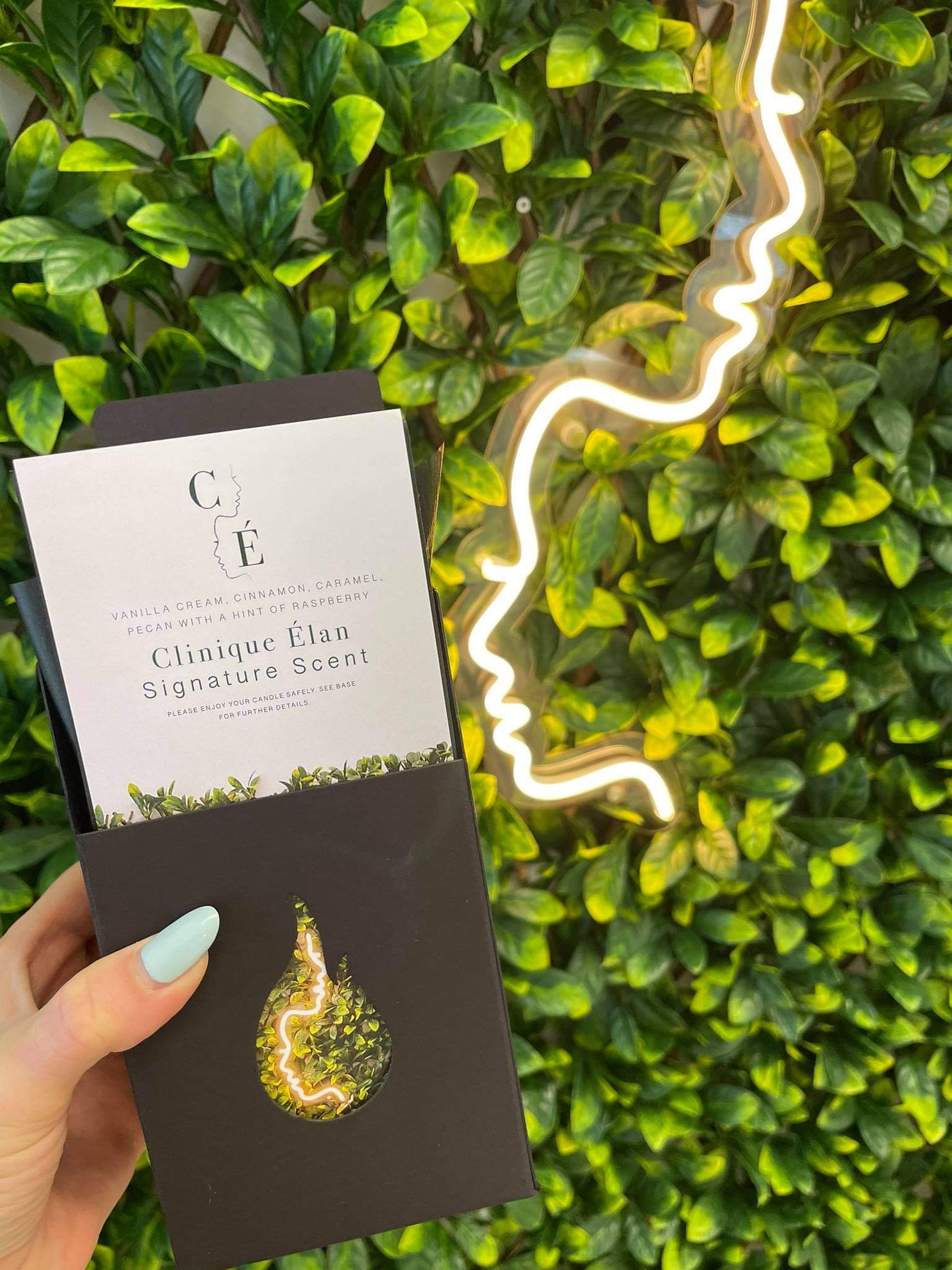 Clinique Elan signature scent candle Asylum 
